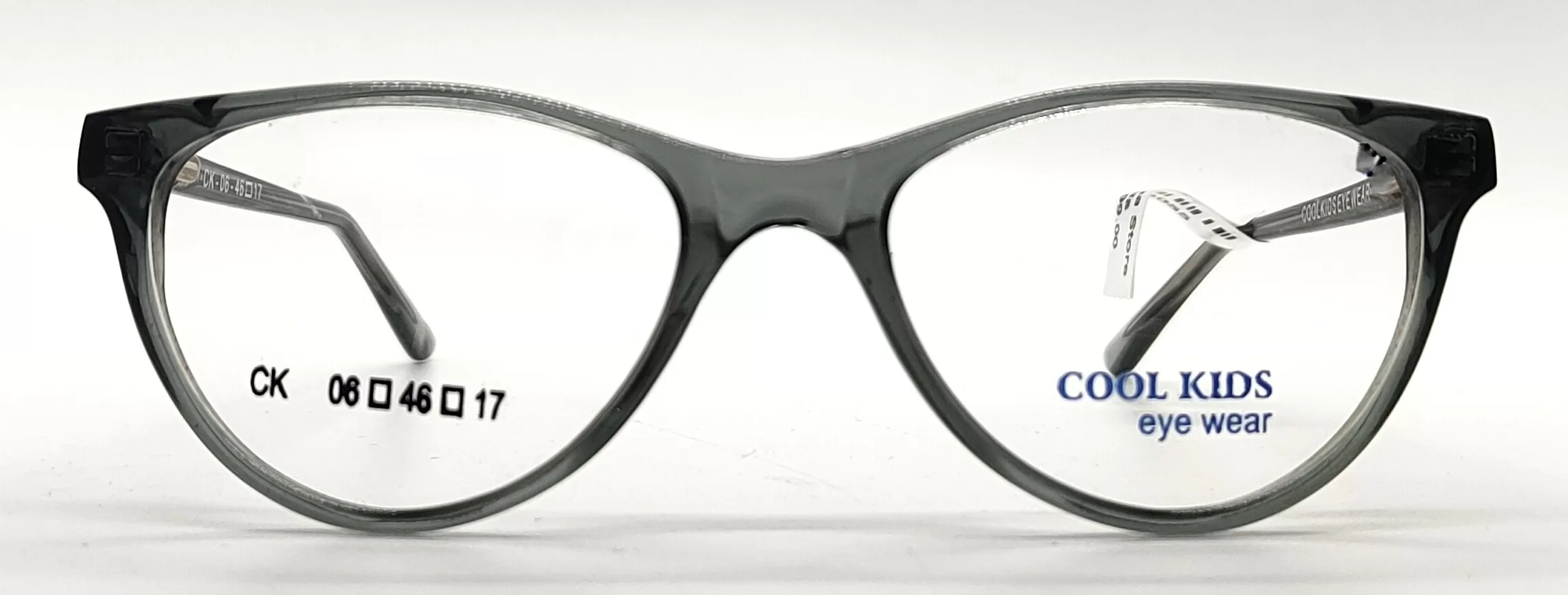 Cool Kids Transparent grey Acetate Cat Eye